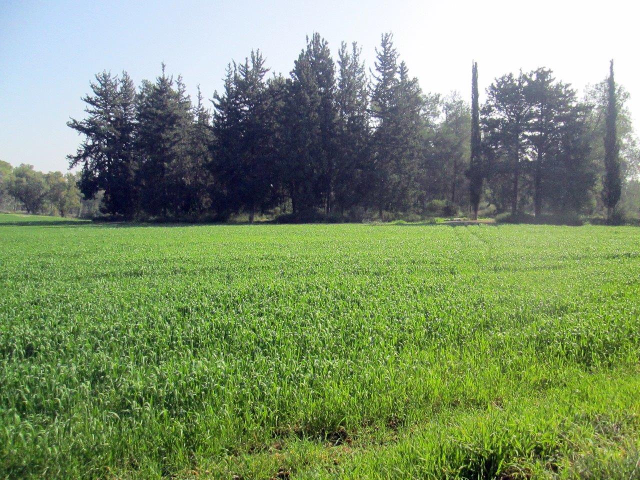 טיול דרך עדשת המצלמה לשפלת יהודה