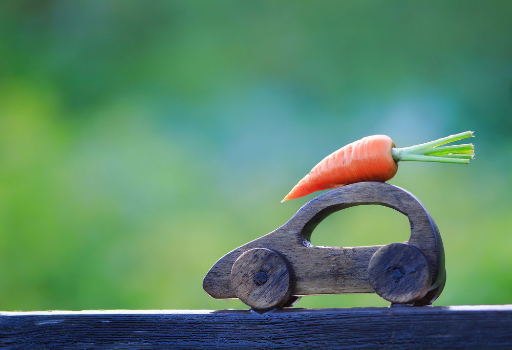 לכל בית ולכל גבעה. אילוסטרציה