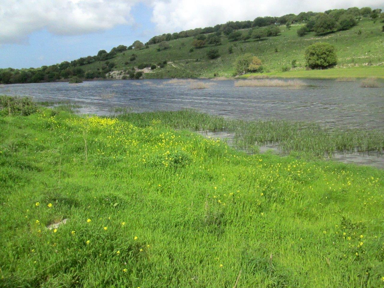 טיול מרהיב דרך עדשת המצלמה לרמות מנשה