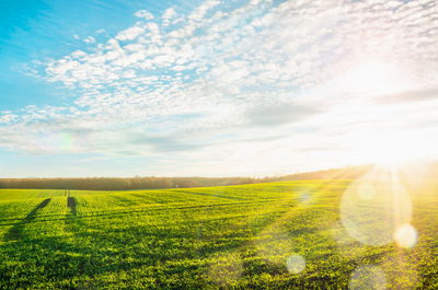 התחזית: יציב ונח, עליה קלה במידות החום
