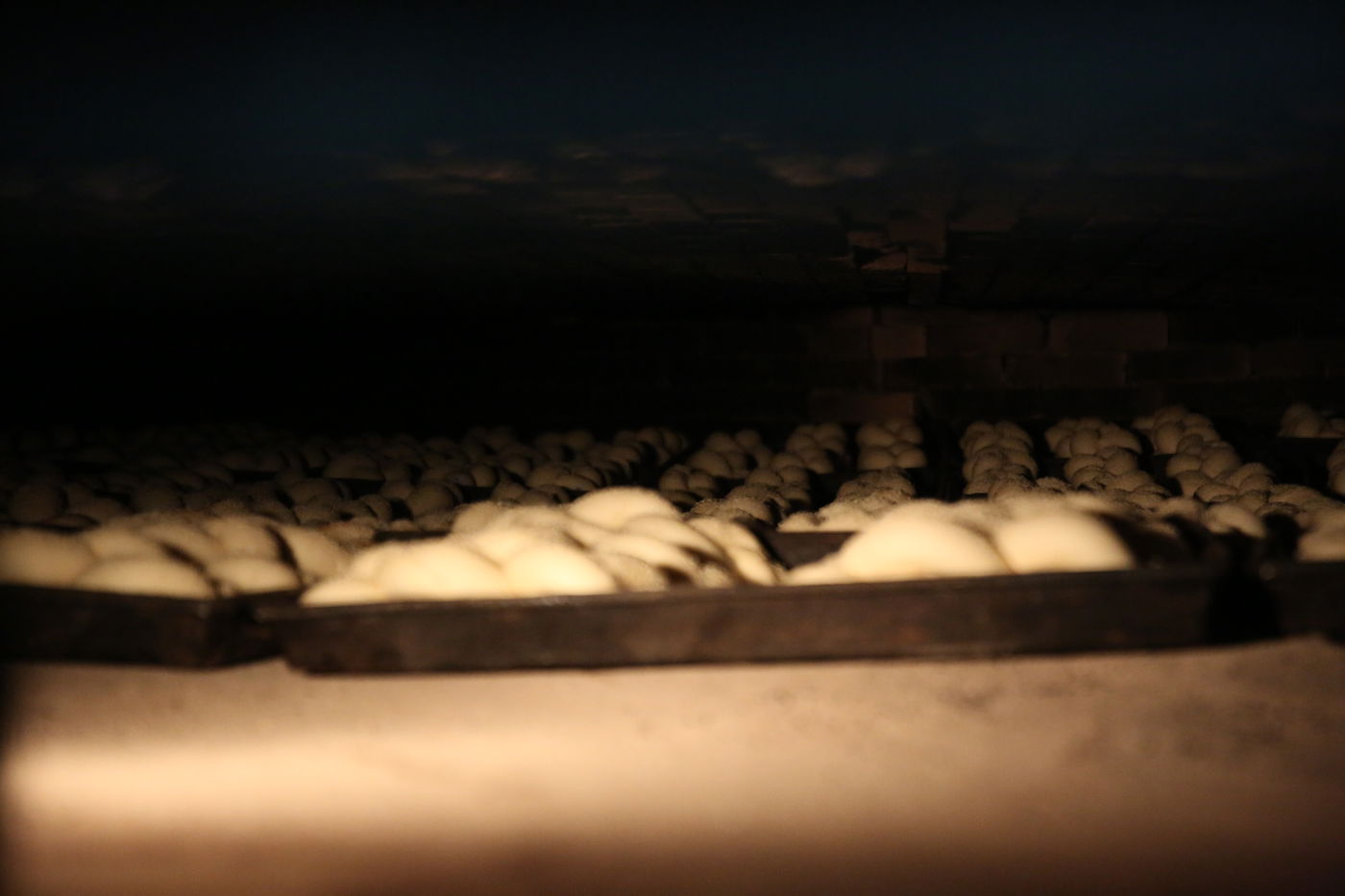 120 שנות ניסיון: גלריה מיוחדת לכבוד שבת