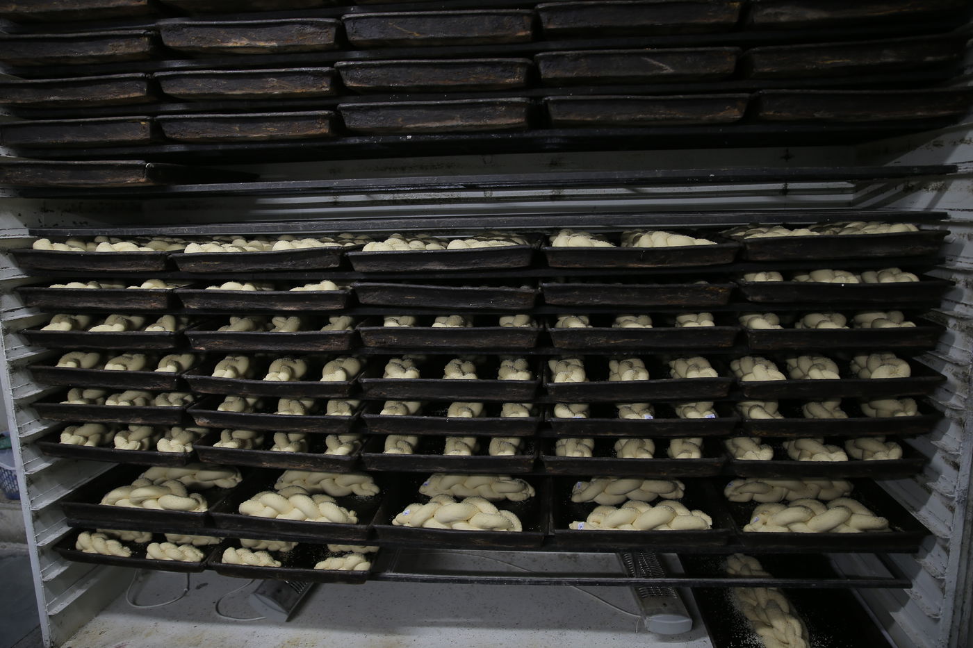 120 שנות ניסיון: גלריה מיוחדת לכבוד שבת