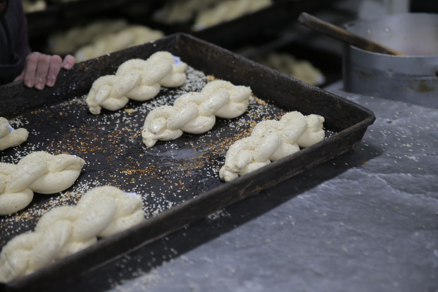 120 שנות ניסיון: גלריה מיוחדת לכבוד שבת