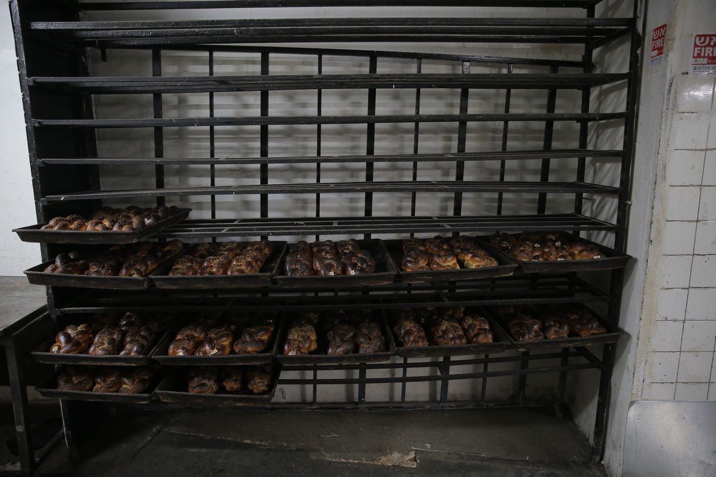 120 שנות ניסיון: גלריה מיוחדת לכבוד שבת