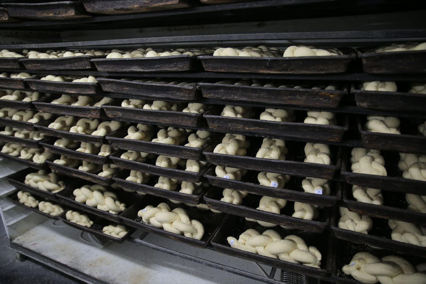 120 שנות ניסיון: גלריה מיוחדת לכבוד שבת