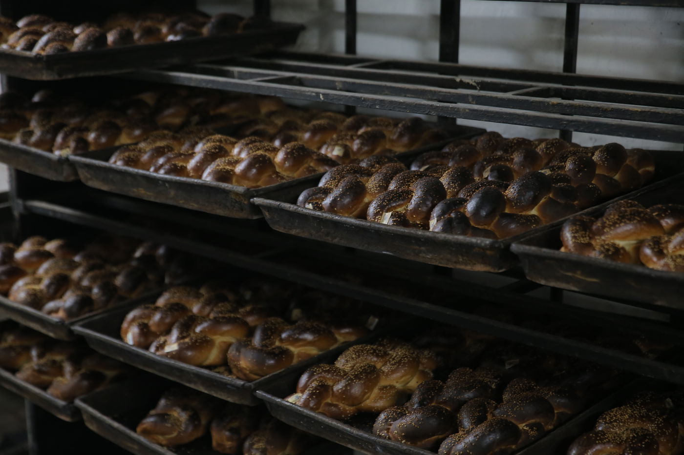 120 שנות ניסיון: גלריה מיוחדת לכבוד שבת