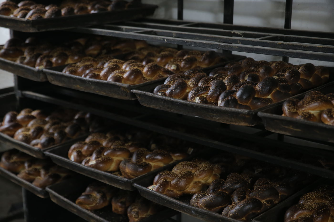 120 שנות ניסיון: גלריה מיוחדת לכבוד שבת