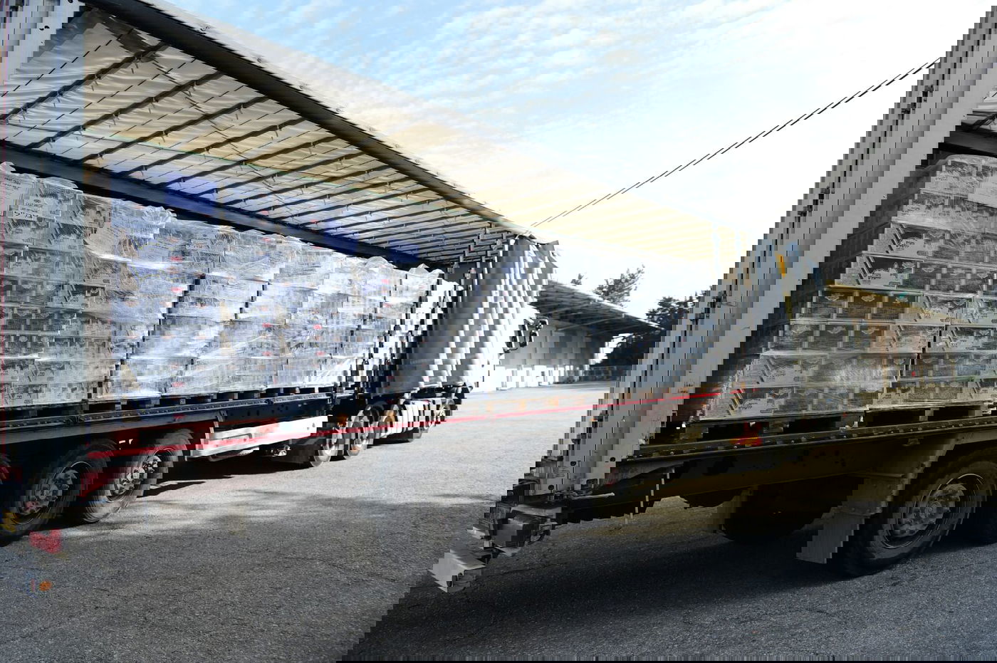 ה"קניות" של צה"ל לפסח - כל המספרים