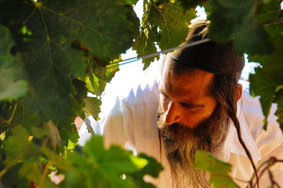 היין הקטן שעשה מהפיכה. יקב אור הגנוז.