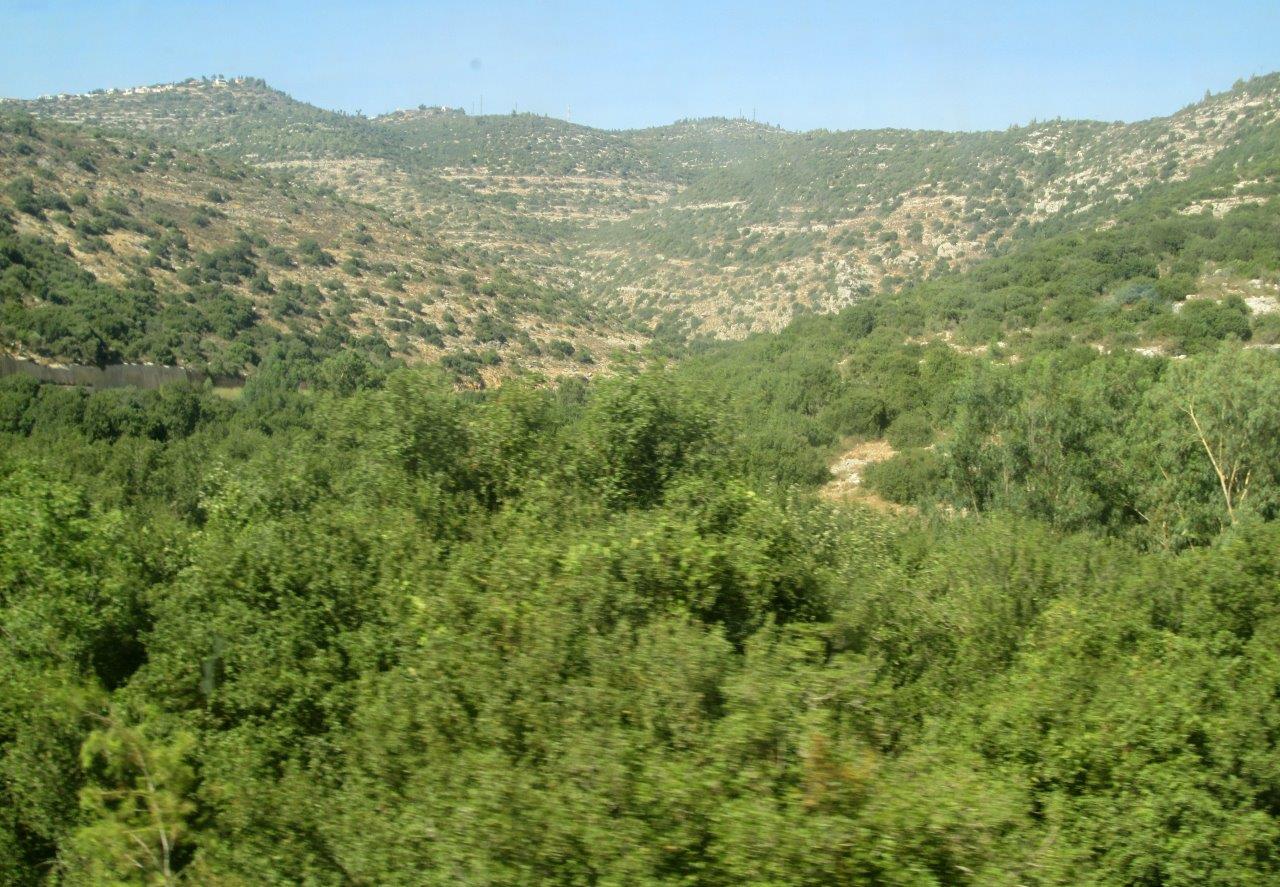 טיול דרך עדשת המצלמה להרי יהודה