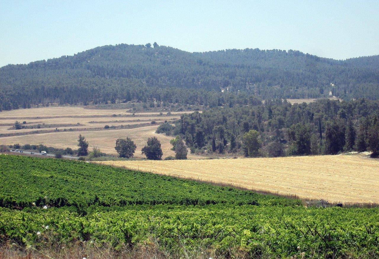 טיול דרך עדשת המצלמה להרי יהודה