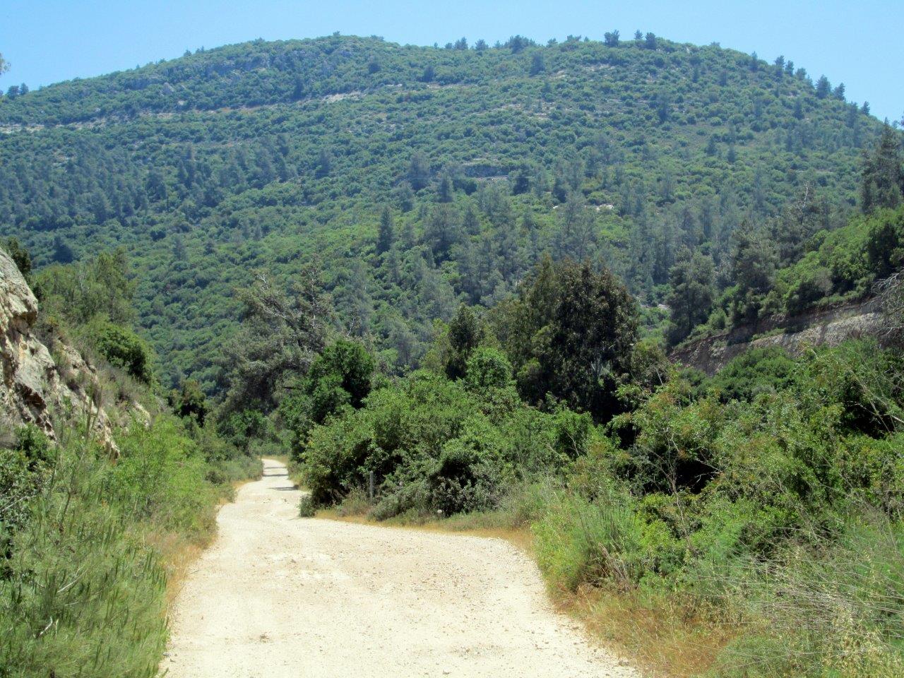 טיול דרך עדשת המצלמה להרי יהודה