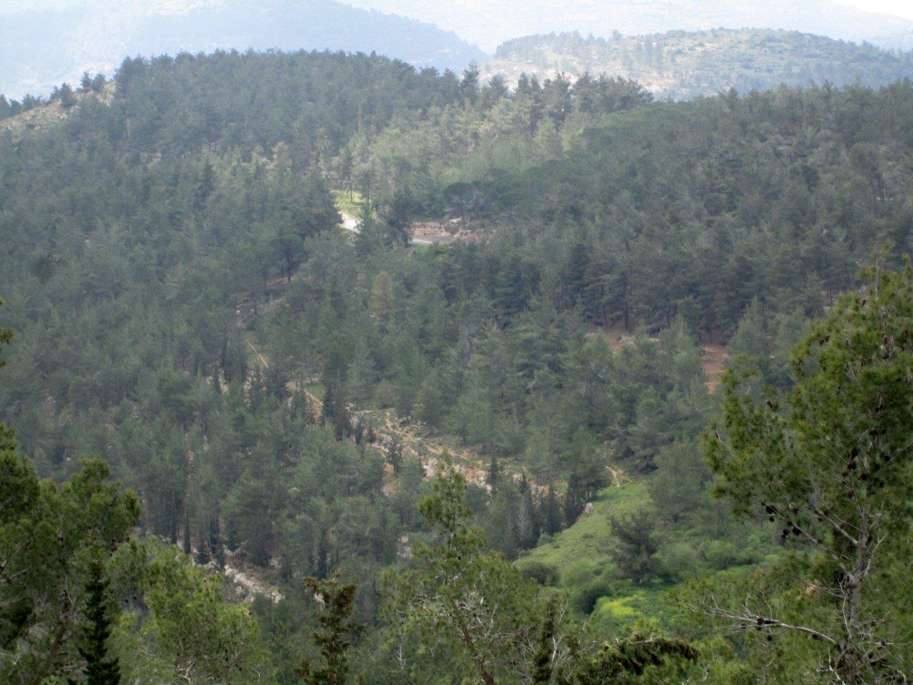 טיול דרך עדשת המצלמה להרי יהודה