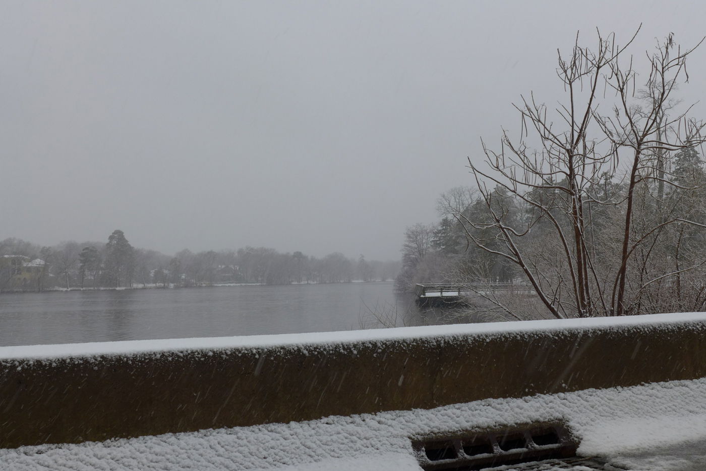 בשבוע: הגאון רבי עזריאל אוירבך אסף כמיליון דולר