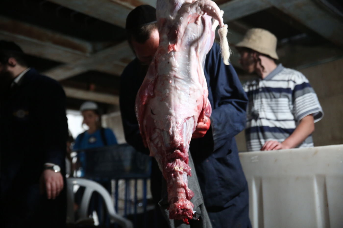 תיעוד מיוחד: כך הוקרב קרבן פסח • גלריה