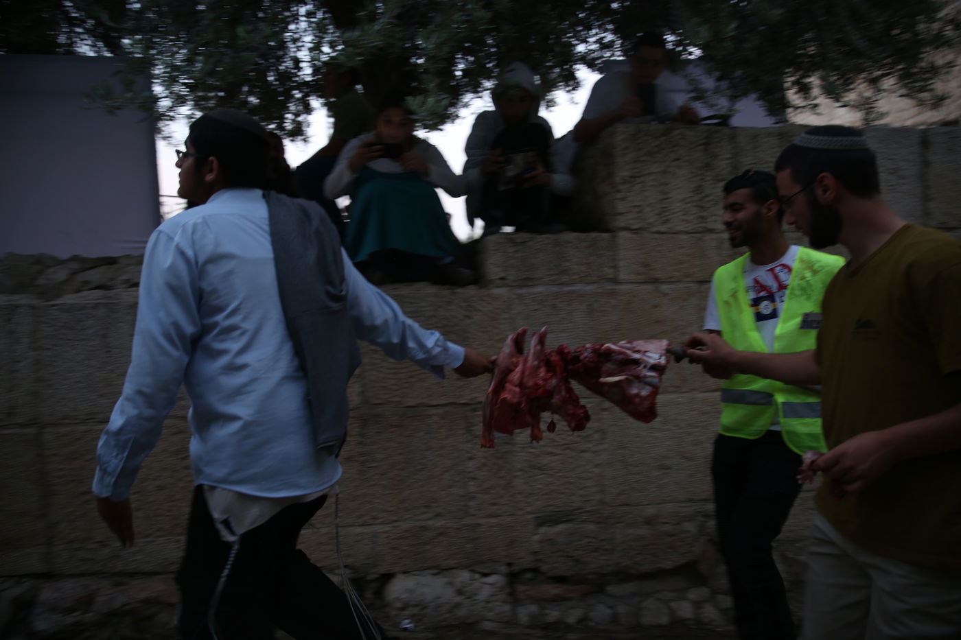 תיעוד מיוחד: כך הוקרב קרבן פסח • גלריה