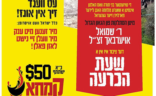 מתוך הקמפיין