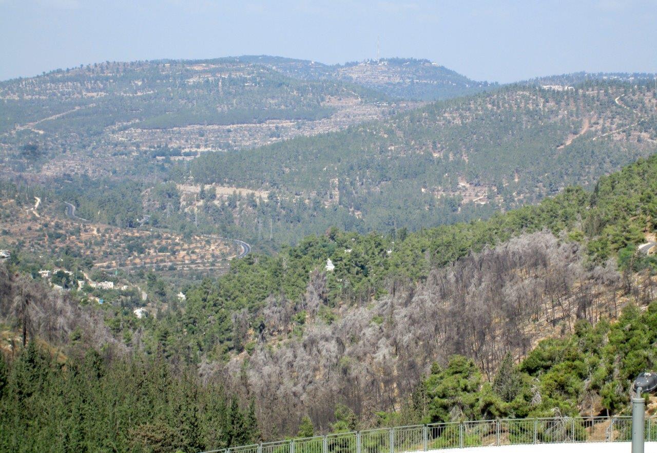 רגע לפני החג: טיול לנופיה של ירושלים