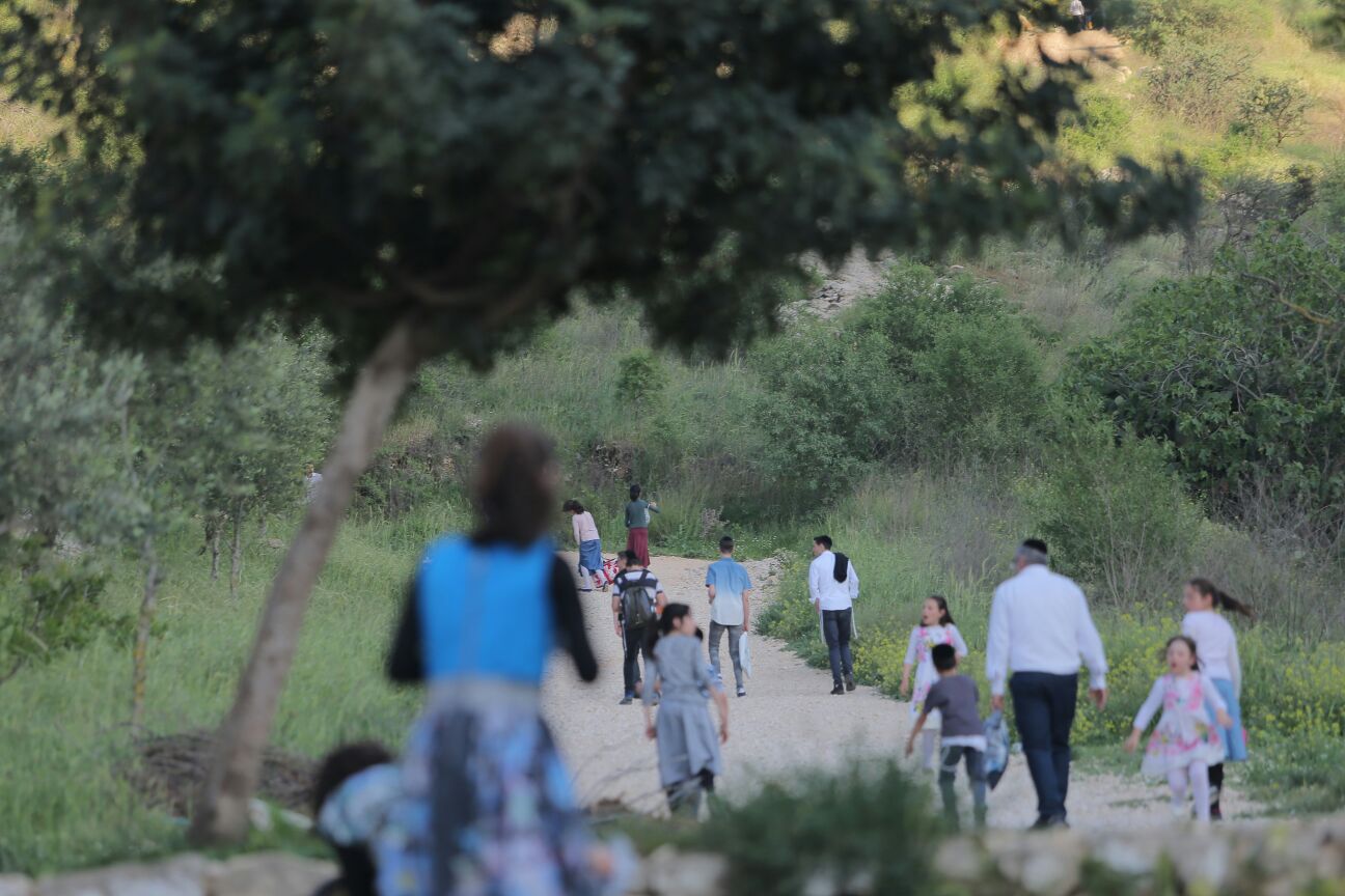 החרדים כבשו את הליפתא בירושלים • צפו