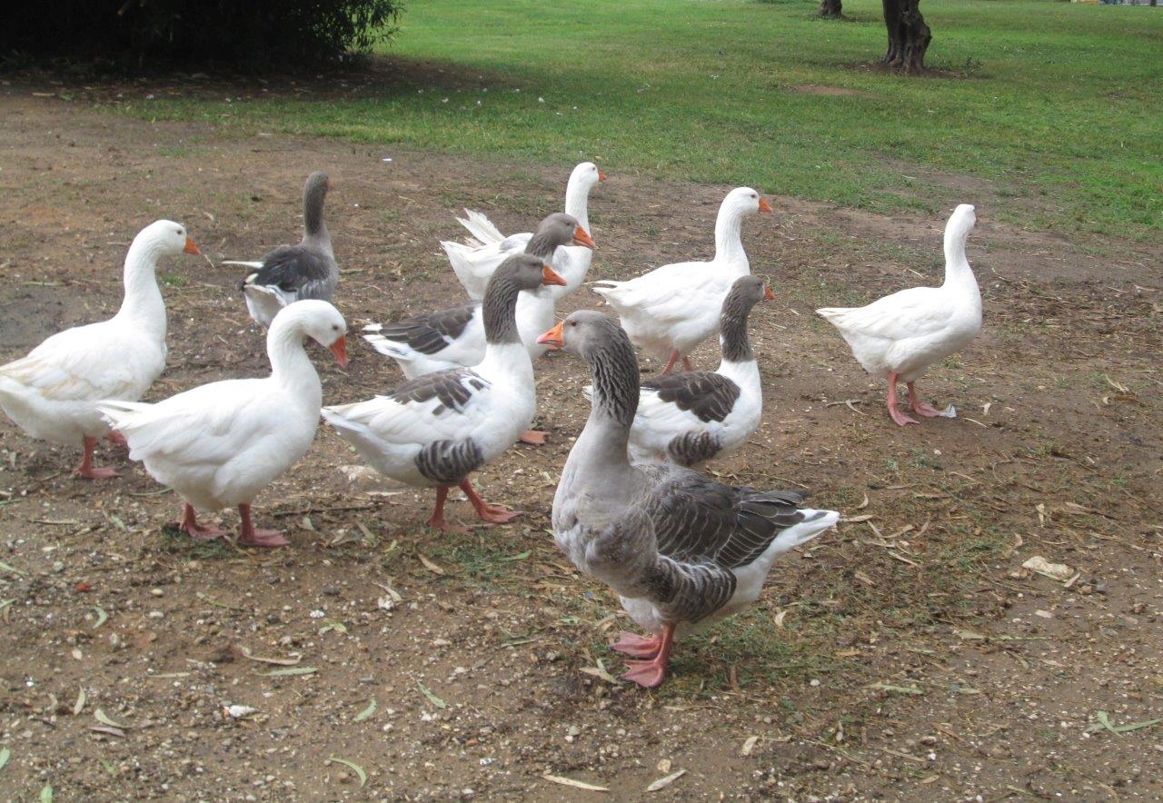 פארק שבע הטחנות דרך עדשת המצלמה