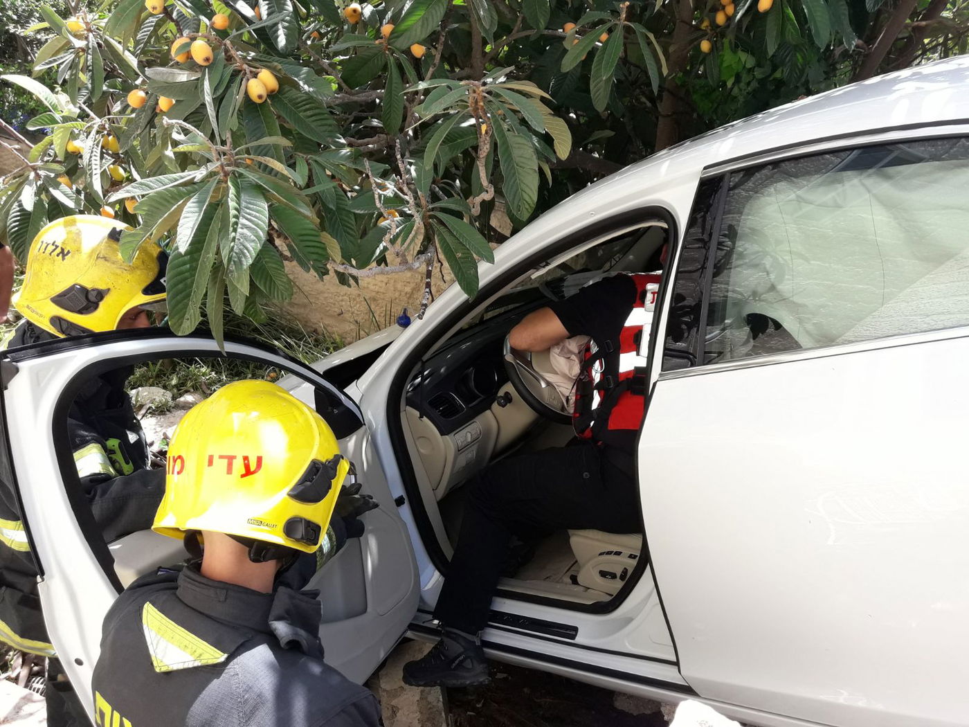 זוג מבוגרים עפו עם הרכב לתוך הגינה • צפו