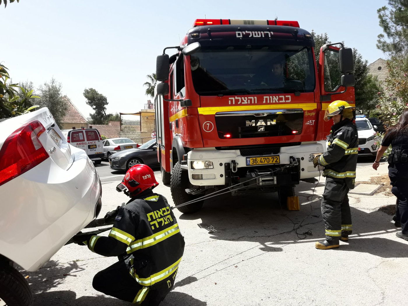 זוג מבוגרים עפו עם הרכב לתוך הגינה • צפו