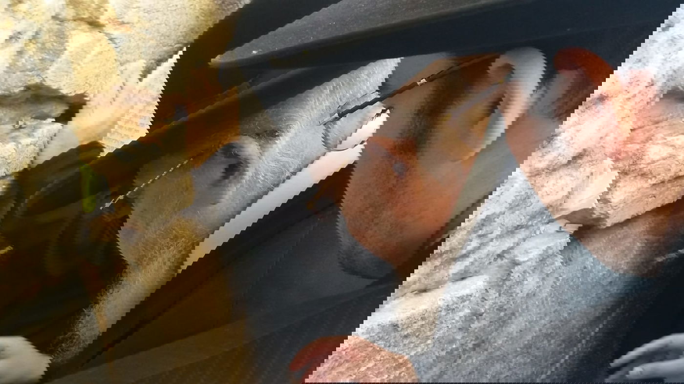 ה'עלייה לרגל' של הגאון רבי ברוך מרדכי אזרחי • תיעוד