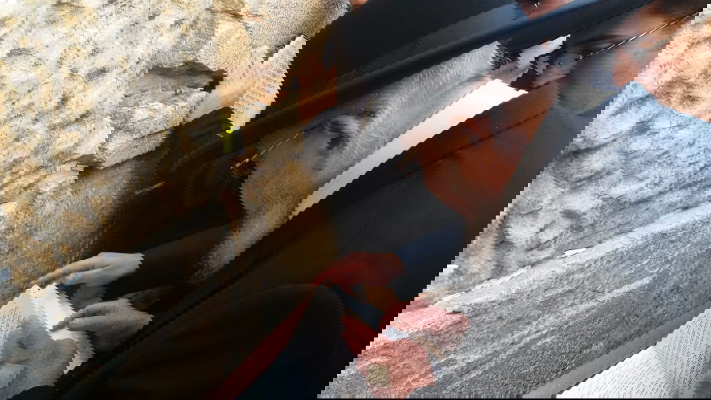 ה'עלייה לרגל' של הגאון רבי ברוך מרדכי אזרחי • תיעוד