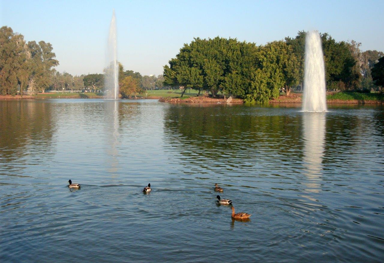 הפארק הלאומי ברמת גן בעדשת המצלמה • צפו