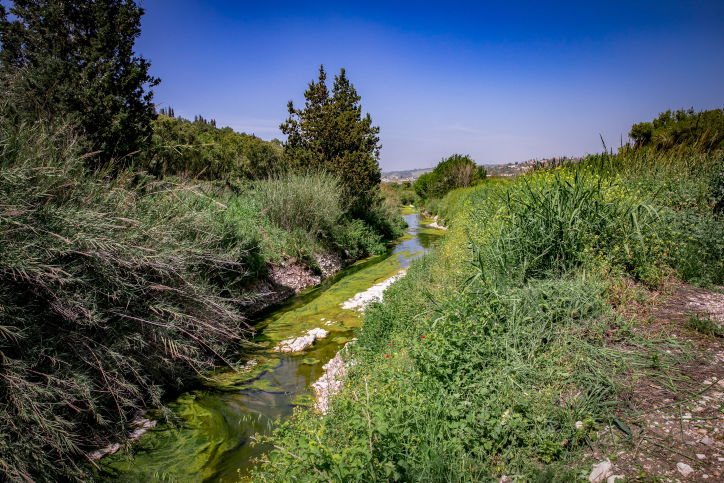 נחל דליות בצפון