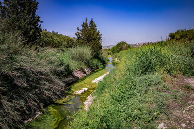 נחל דליות בצפון