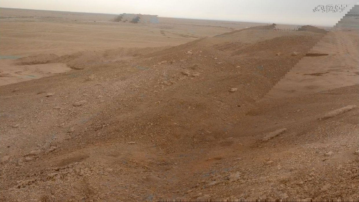 סוכנות הידיעות הפדראלית FAN