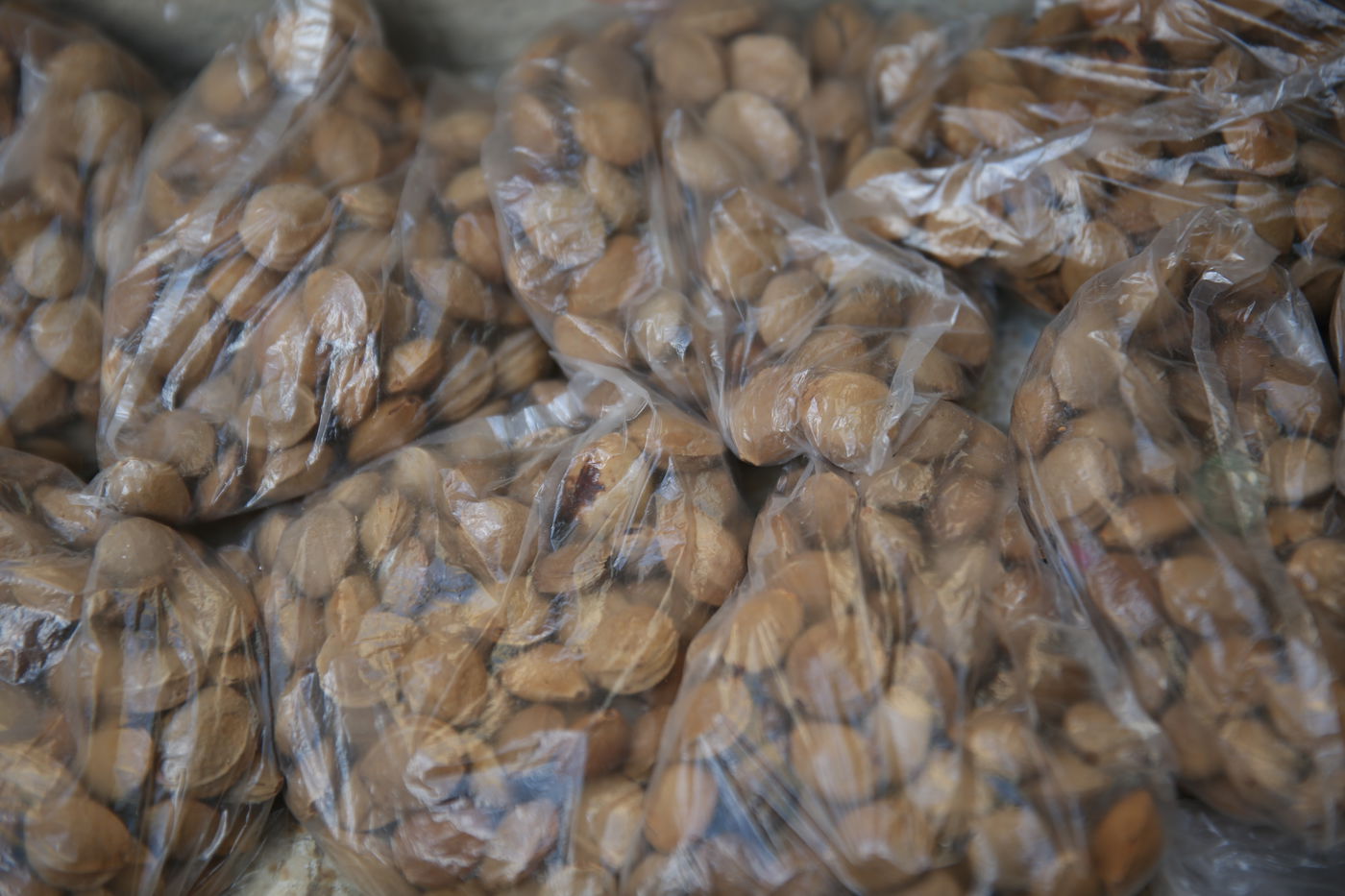 הצצה נדירה לשוק האג'ואים במאה שערים