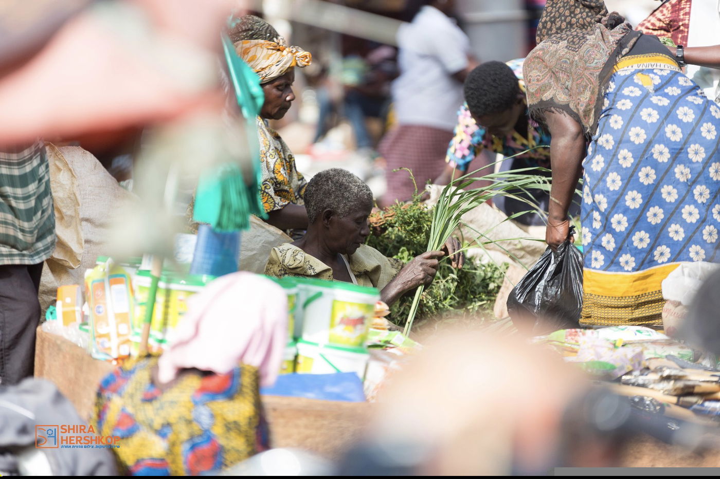 סיור באוגנדה בעדשת המצלמה • גלריה