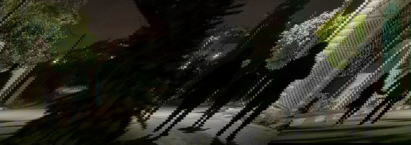 אלפים בהילולת יהושע בן נון בשומרון • צפו