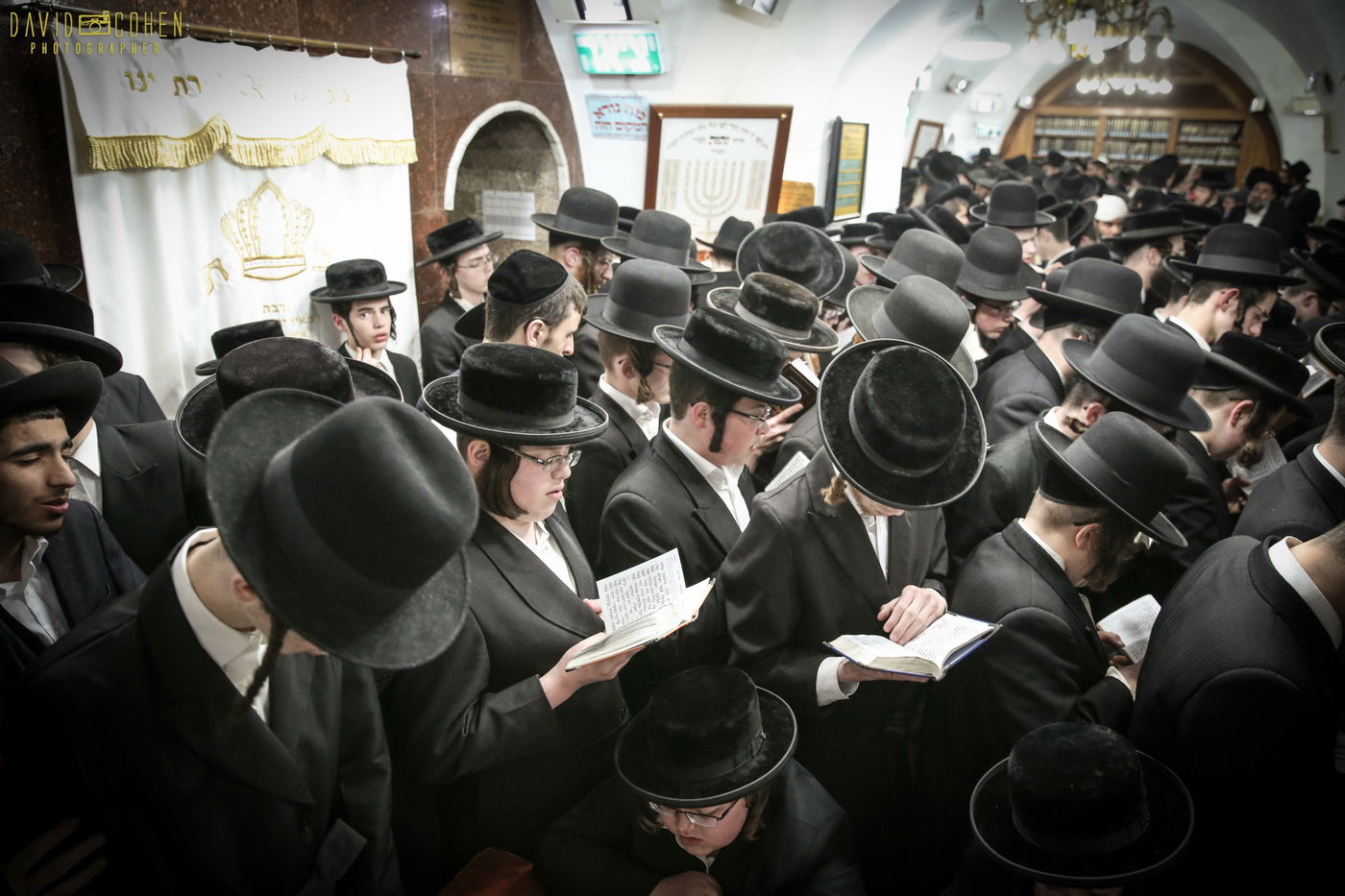 בחורי קהילת 'פרושים' התפללו במירון • צפו