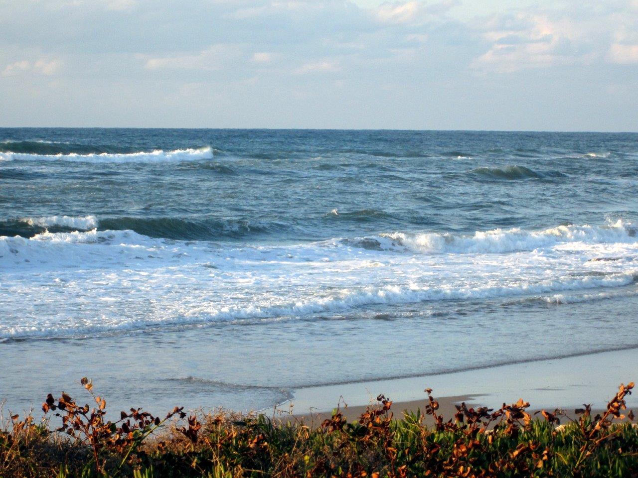 טיול לחופי תל אביב דרך עדשת המצלמה