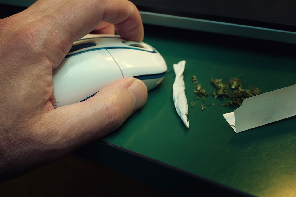 ארגנטינה: "עכברים אכלו חצי טון מריחואנה"