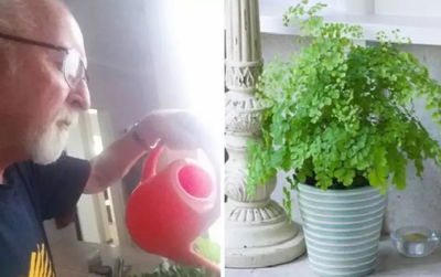 האב האלמן משקה את עציצי הפלסטיק