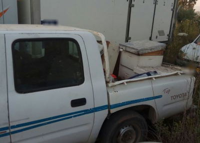 הכוורות שנגנבו