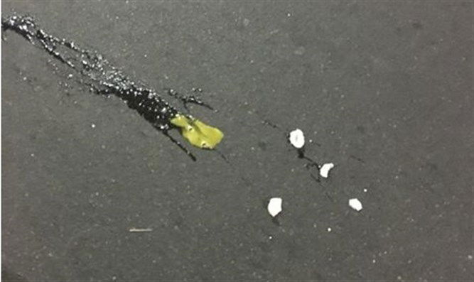 פעיל השמאל יריב אופנהיימר הותקף בביצה