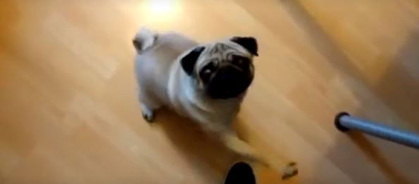 ההצדעה שעלתה 4000 ש"ח