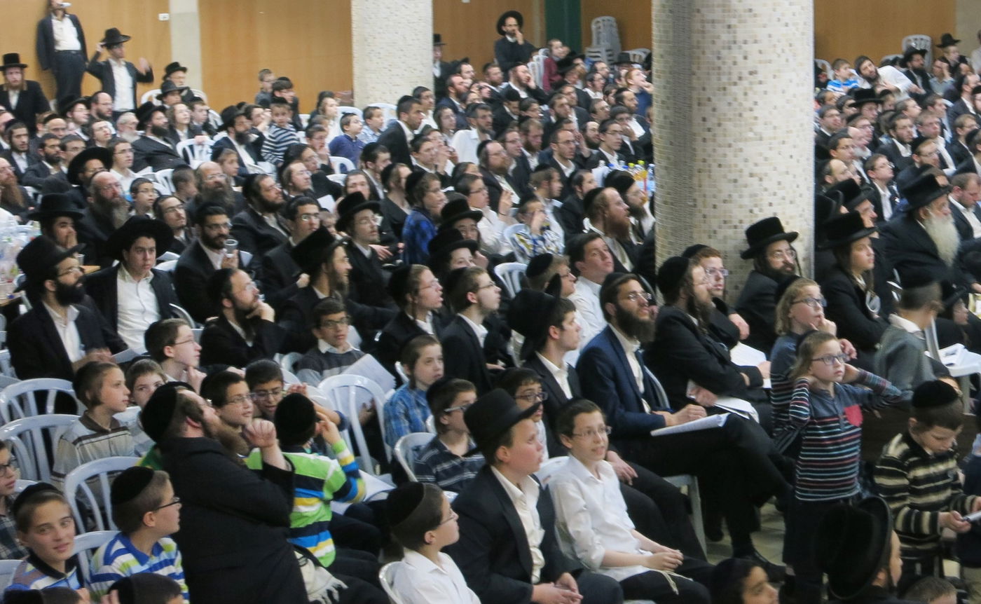 בגלל הדף היומי: מאות אברכים צפו בשחיטת כבש