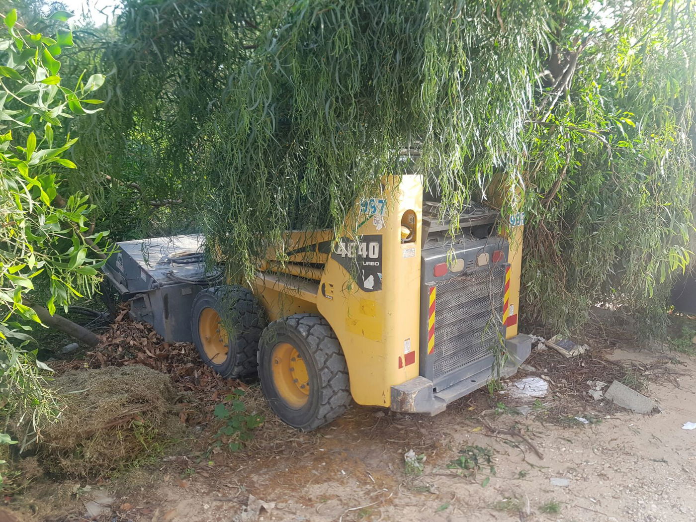 מי השחית וכרת 140 גפנים בבקעת הירדן?