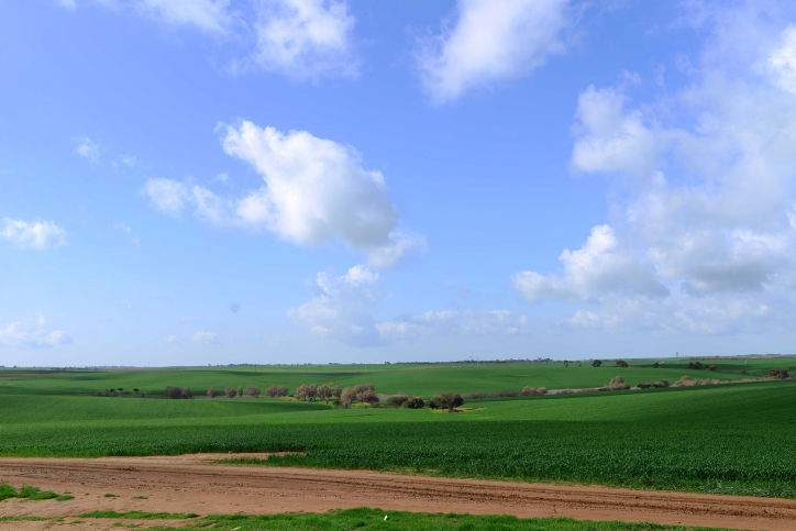 לשמור על הסביבה. אילוסטרציה