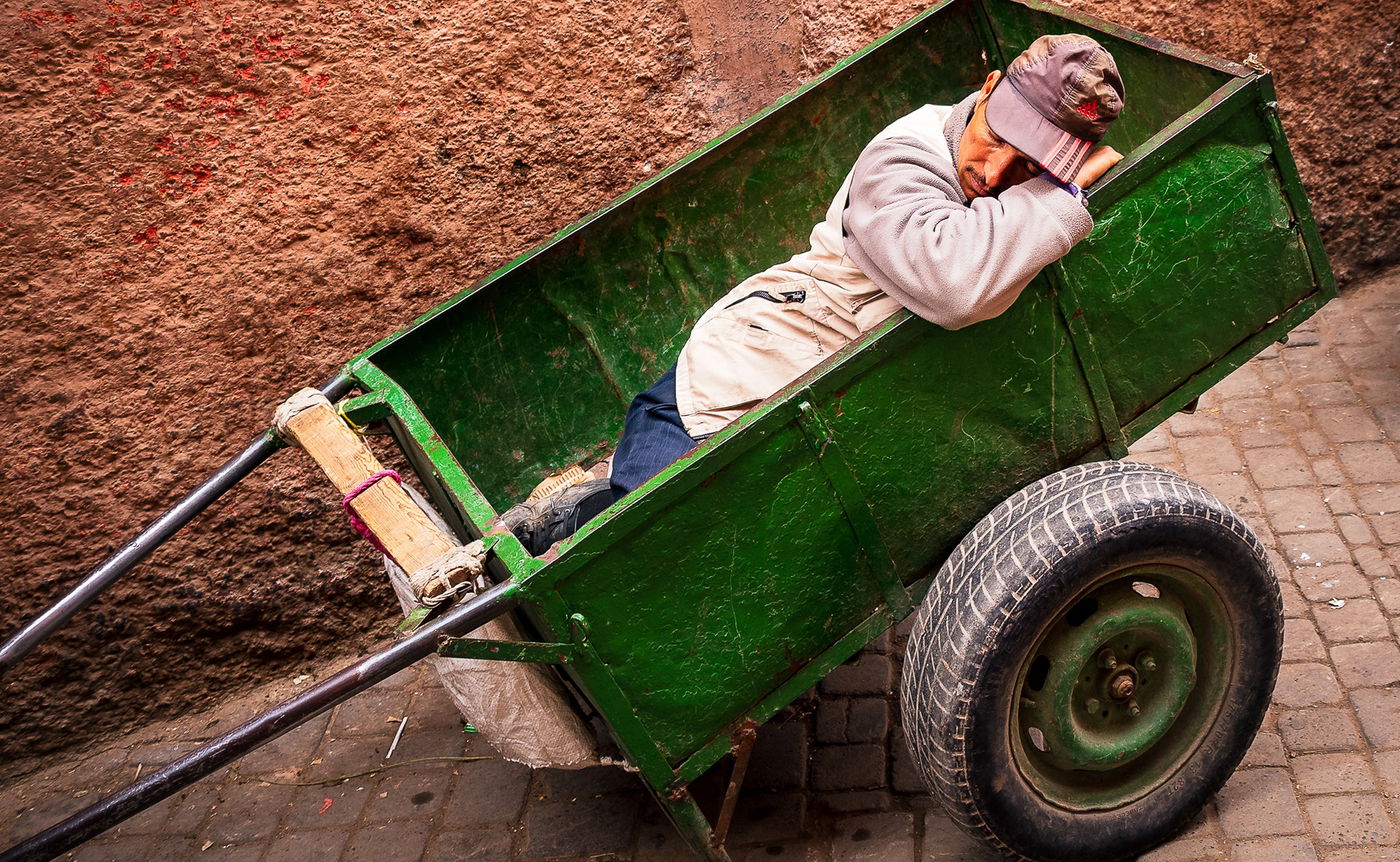 ציפורי לילה שנופלים לתנומה באמצע היום? אתם בסיכון