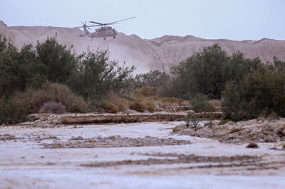נחל צפית בשיטפון