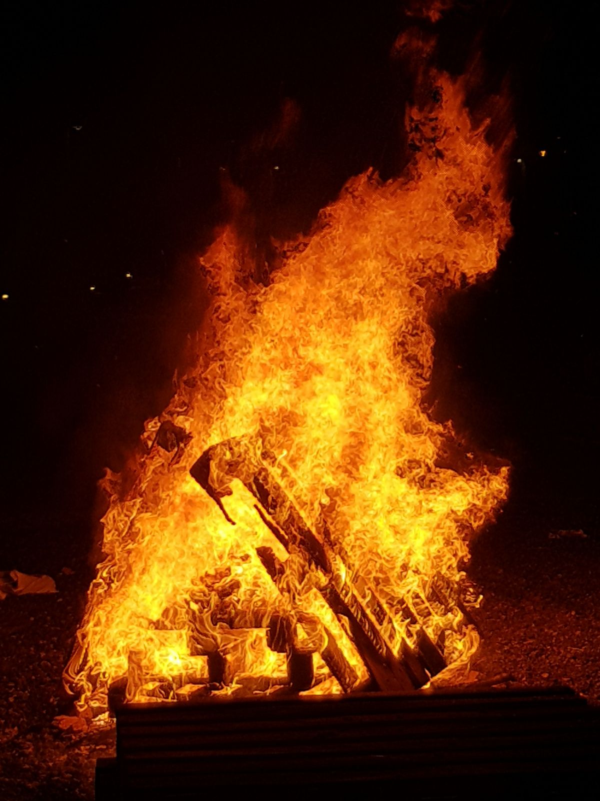 עשרת הדברות השבועיות של אריאל שרפר
