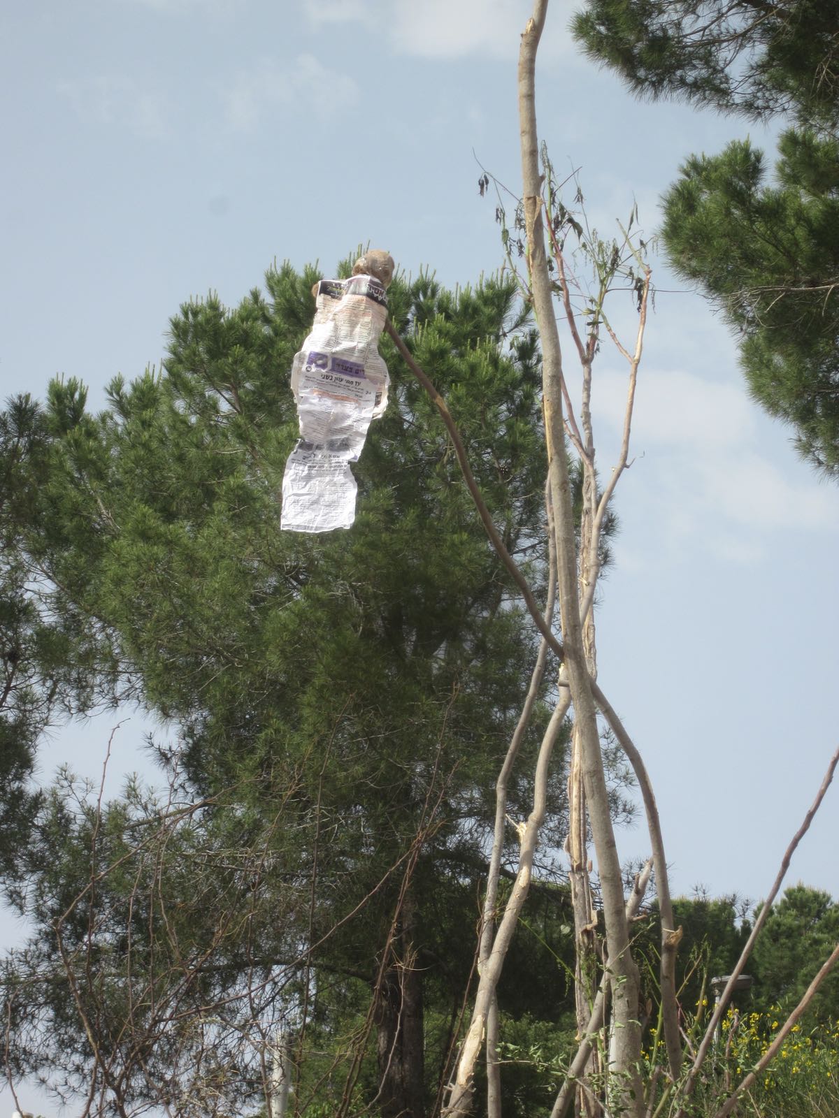 הפילוג הליטאי: ילדים צהלו סביב 'בובת המן' עשויה 'הפלס'