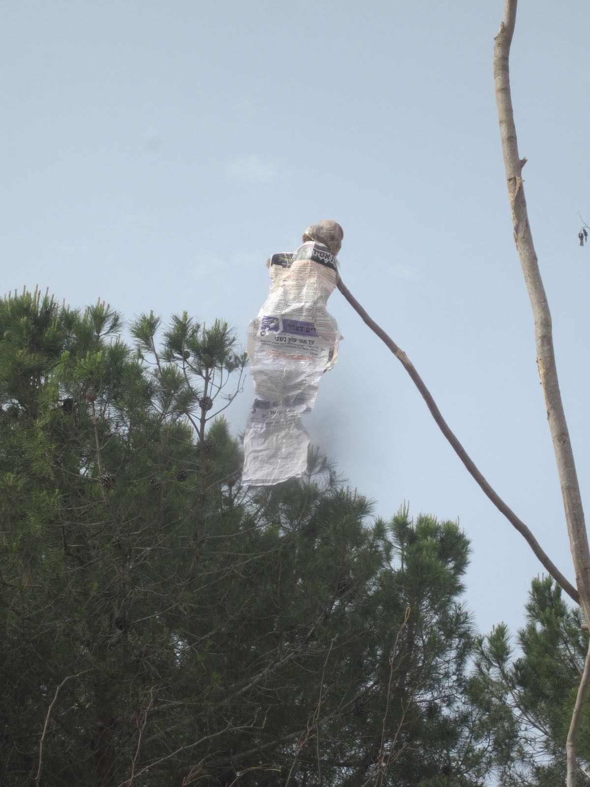 הפילוג הליטאי: ילדים צהלו סביב 'בובת המן' עשויה 'הפלס'